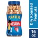 Planters Peanuts Dry Roasted 16oz Jar